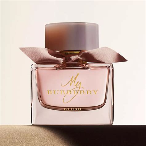 best burberry perfume for women|top women's Burberry perfume.